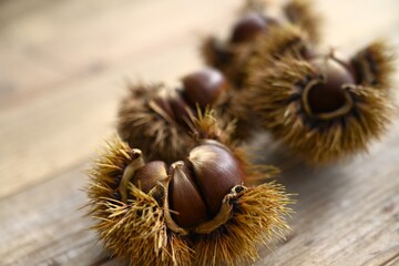 イガイガが付いている栗