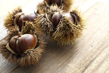 イガイガが付いている栗