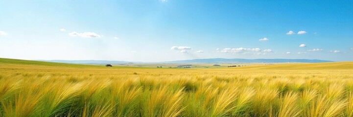 Serene Prairie Landscape Vast Open Fields Stretching to a Hazy Horizon Under a Brilliant Blue Sky, Wild Grasses Gently Swaying in a Peaceful, Untouched Natural Setting
