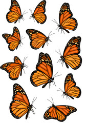 Collection of vibrant monarch butterflies in flight fluttering with intricate wing patterns natural beauty vector on white background