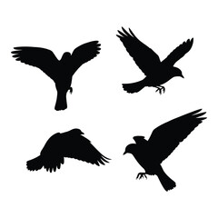 Obraz premium Four dynamic silhouettes of birds in flight capturing movement and freedom in crisp black and white imagery silhouette