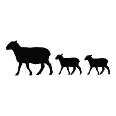 Silhouette of a sheep family three black sheep walking together livestock farm animal representation isolated graphic element silhouette