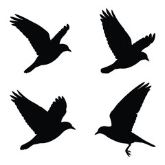 Four dynamic silhouettes of birds in flight capturing movement and freedom against a white canvas silhouette