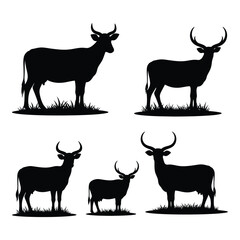 Set of five silhouette cattle and oxen standing on grass with majestic horns for farm and livestock design elements silhouette