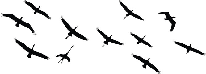 Silhouette of flying birds in the sky, flock of cranes and eagles soaring freely, wildlife nature concept illustration background