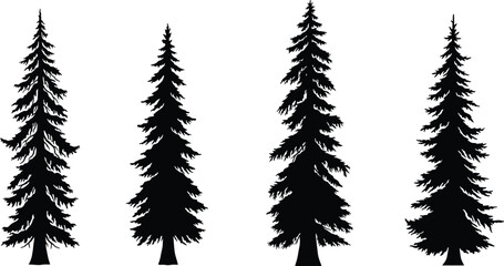 Evergreen tree silhouette, conifer pine vector, black forest artwork, botanical shape design, nature graphic, landscape element, organic plant, seasonal illustration