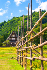 稲刈りの準備が進む農村
