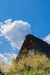 合掌造り集落の秋【富山県五箇山】

