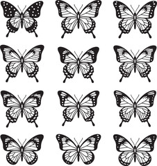 Fototapeta premium Butterfly Harmony: A collection of intricate butterfly illustrations, a symphony of nature's delicate beauty, each displaying unique patterns.