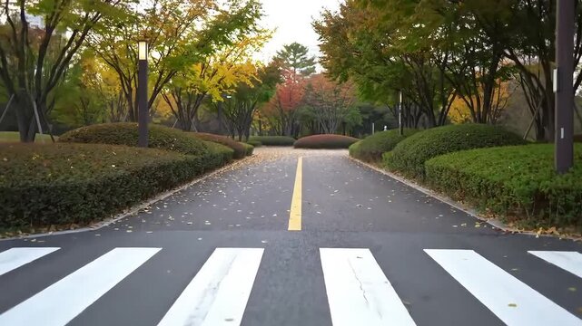 Empty road with pedestrian crossing in autumn park
