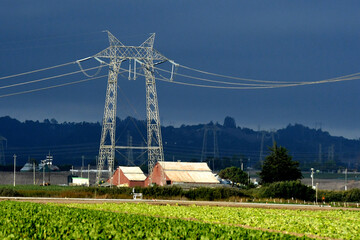 High voltage transmission towers in agricultural field with incoming storm 