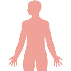 Naklejka premium Flat Graphic Human Body