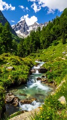 Obraz premium Lush valley with clear stream flowing towards snow-capped mountains under a blue sky