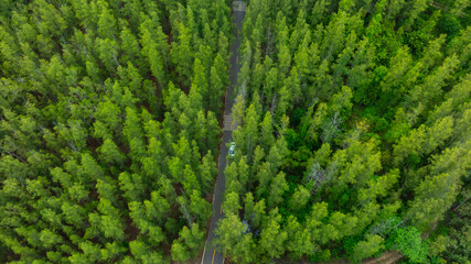 Aerial view of dark green forest road and white electric car Natural landscape and elevated roads Adventure travel and transportation and environmental protection concept	