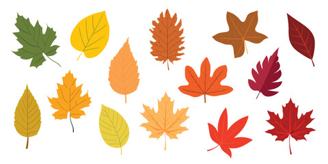 Colorful autumn leaves collection, isolated vector set