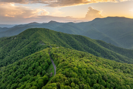 Fototapeta Nature landscape of Mt Mitchell in Appalachian mountains at sunrise. Mountain forest with green canopies in summer season