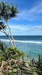 sea ​​pandan trees on the beach