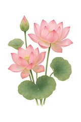 Elegant Lotus Watercolor High quality Realistic image.