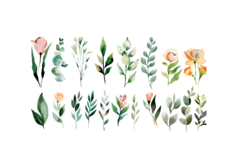 set of Watercolor, Boho, Minimal Botanical Floral Clipar, high r