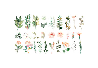 set of Watercolor, Boho, Minimal Botanical Floral Clipar, high r