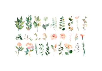 set of Watercolor, Boho, Minimal Botanical Floral Clipar, high r