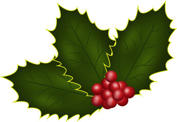 Holly Berries Illustration