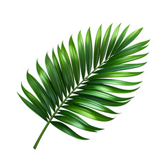 Fototapeta premium Vibrant Green Palm Leaf on Black Background - Tropical Nature Minimalist Design Element for Exotic Freshness, Spa, Eco-Friendly & Wellness Concepts