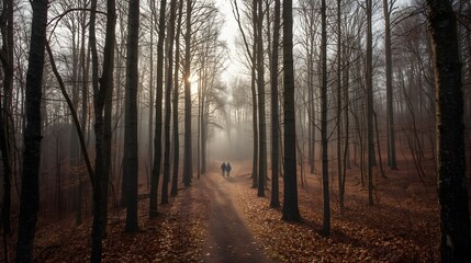 Atmospheric forest pathway at sunrise with long shadows, misty light rays, and a solitary distant figure walking among tall bare trees in a serene autumn setting