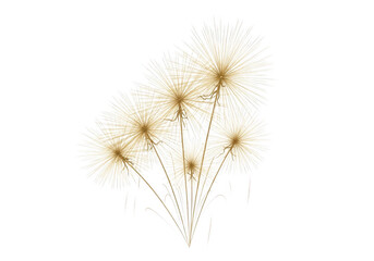 Obraz premium Bright yellow and white fireworks bursting in a cluster isolated on transparent background