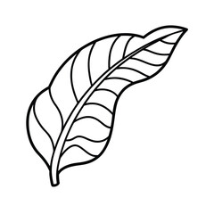 Single line banana leaves tropical foliage botanical minimalist design vector line art on white background