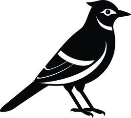 Blue jay silhouette vector art illustration