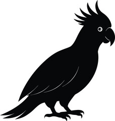 Fototapeta premium Cockatoo silhouette vector art illustration