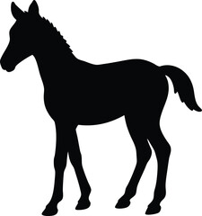 Foal silhouette vector art illustration