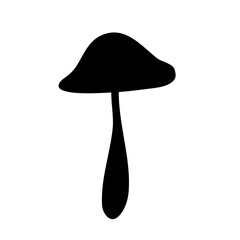 Wild Brown Cap Mushrooms