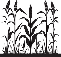 Black Silhouette growing corn with leaves vegetable harvest black and white vector shape 