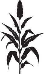Black Silhouette growing corn with leaves vegetable harvest black and white vector shape 