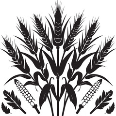 Black Silhouette growing corn with leaves vegetable harvest black and white vector shape 