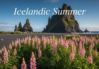 Icelandic Summer - Lupines Bloom Near Reynisfjara Black Sand Beach.