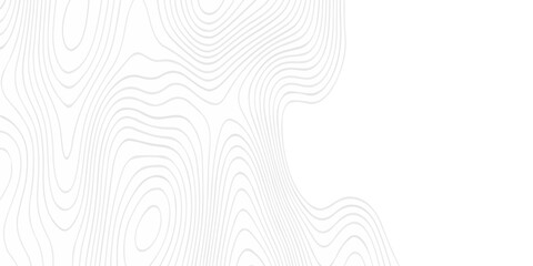 Abstract topography pattern seamless lines sea map modern design white background. Abstract digital topographic contour map concept space geometric strip grid line. Natural discovery of maps.	