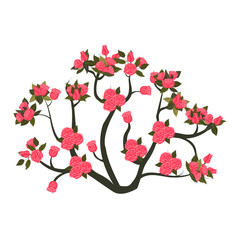 A round rose bush with blooming bright pink roses. Vector illustration on a white background.