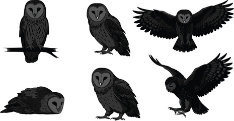 MobileBarn Owl Silhouette, Flying, Perching, Resting, Wildlife Bird Vector, Nocturnal Raptor, Heart-Shaped Face, Dark Style, Animal Anatomy Study © Creatives World