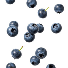 blueberries on transparent background