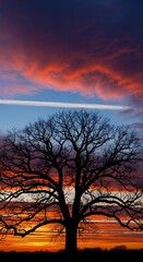 Obraz premium Silhouette of a Tree Against a Vibrant Sunset Sky.
