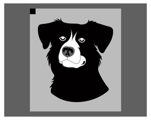 Dog Vector and Icon