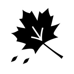 A close up macro shot of a single vibrant green leaf with intricate veins and dew drops glistening on its surface showcasing the beauty of nature and the detail of plant life in soft natural light