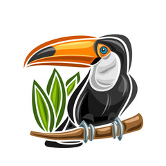 Vector illustration of Brazil Toucan