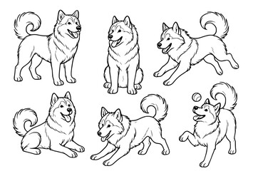 Obraz premium Dog vector outline for coloring, collection of 6 Alaskan Malamute