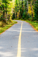 Footpath in fall autumn forest with trees