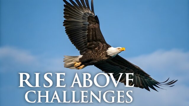 Bald Eagle Soaring Through the Blue Sky With Open Wings