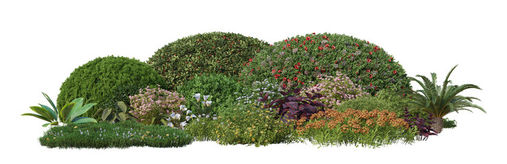 garden shrubs and bushes isolated on transparent background